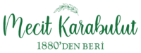 Mecit%20Karabulut